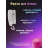 Умный домофон espDomofon v6.2 координатный