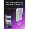 Умный домофон espDomofon v6.2 координатный