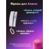 Умный домофон espDomofon v6.2 координатный