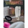 Умный домофон espDomofon v2.1D цифровой